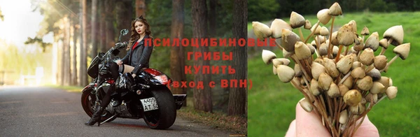 мет Новозыбков