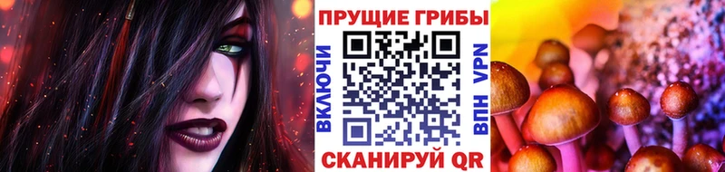 где купить наркоту  Майский  Галлюциногенные грибы MAGIC MUSHROOMS 